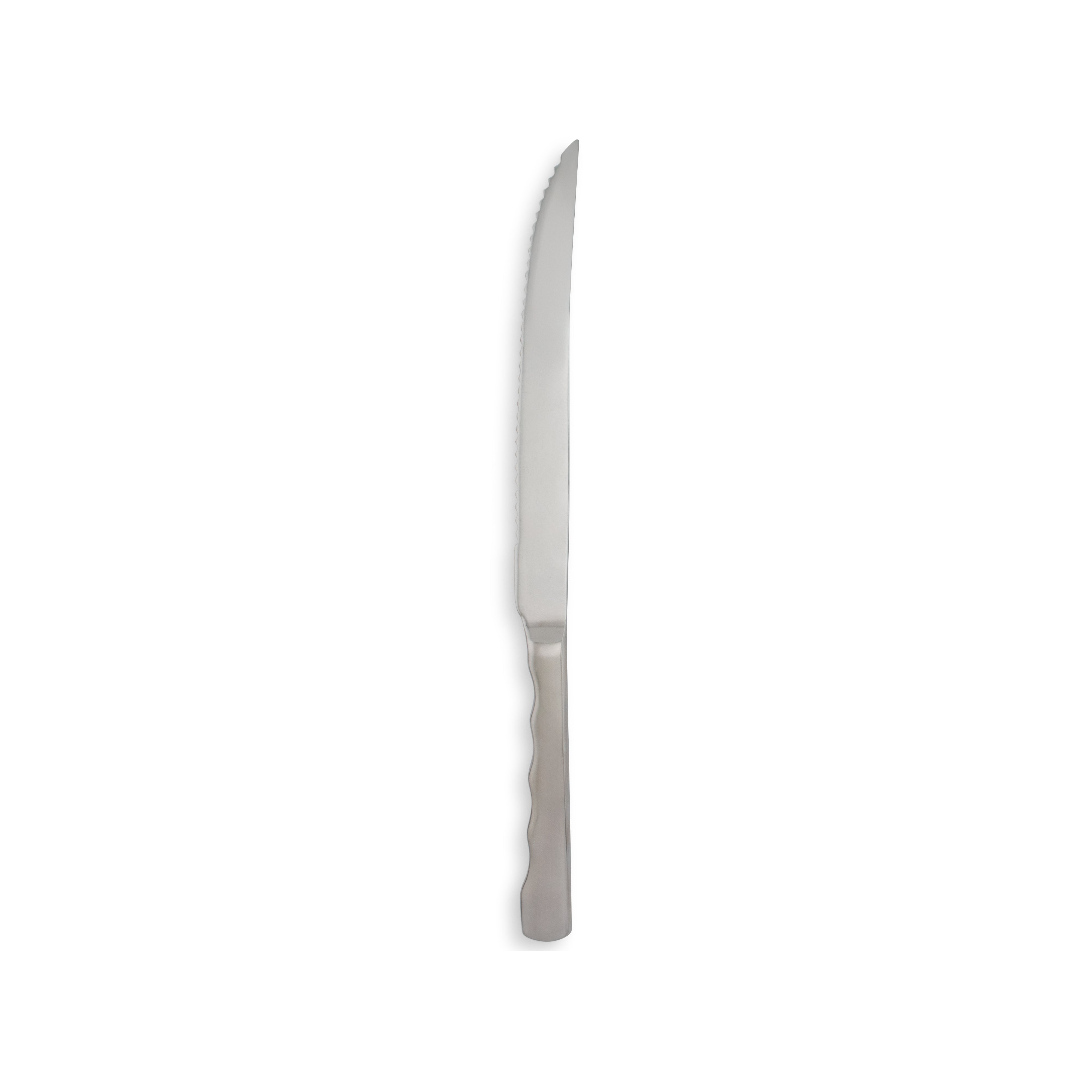 Stainless Steel Carving Knife