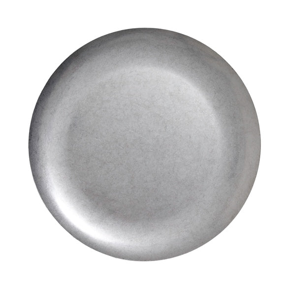 Stainless Steel Charger