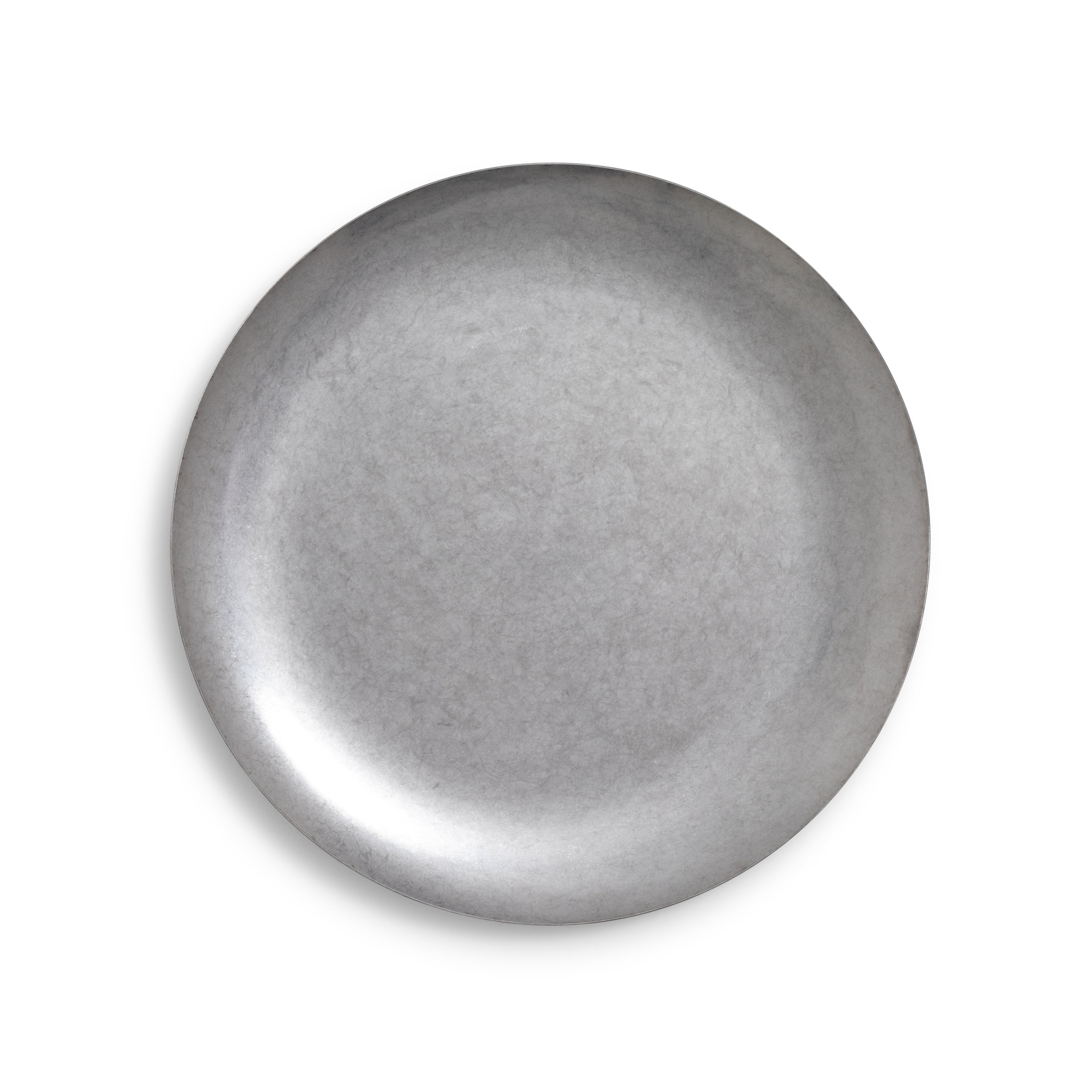 Stainless Steel Dinner 10"