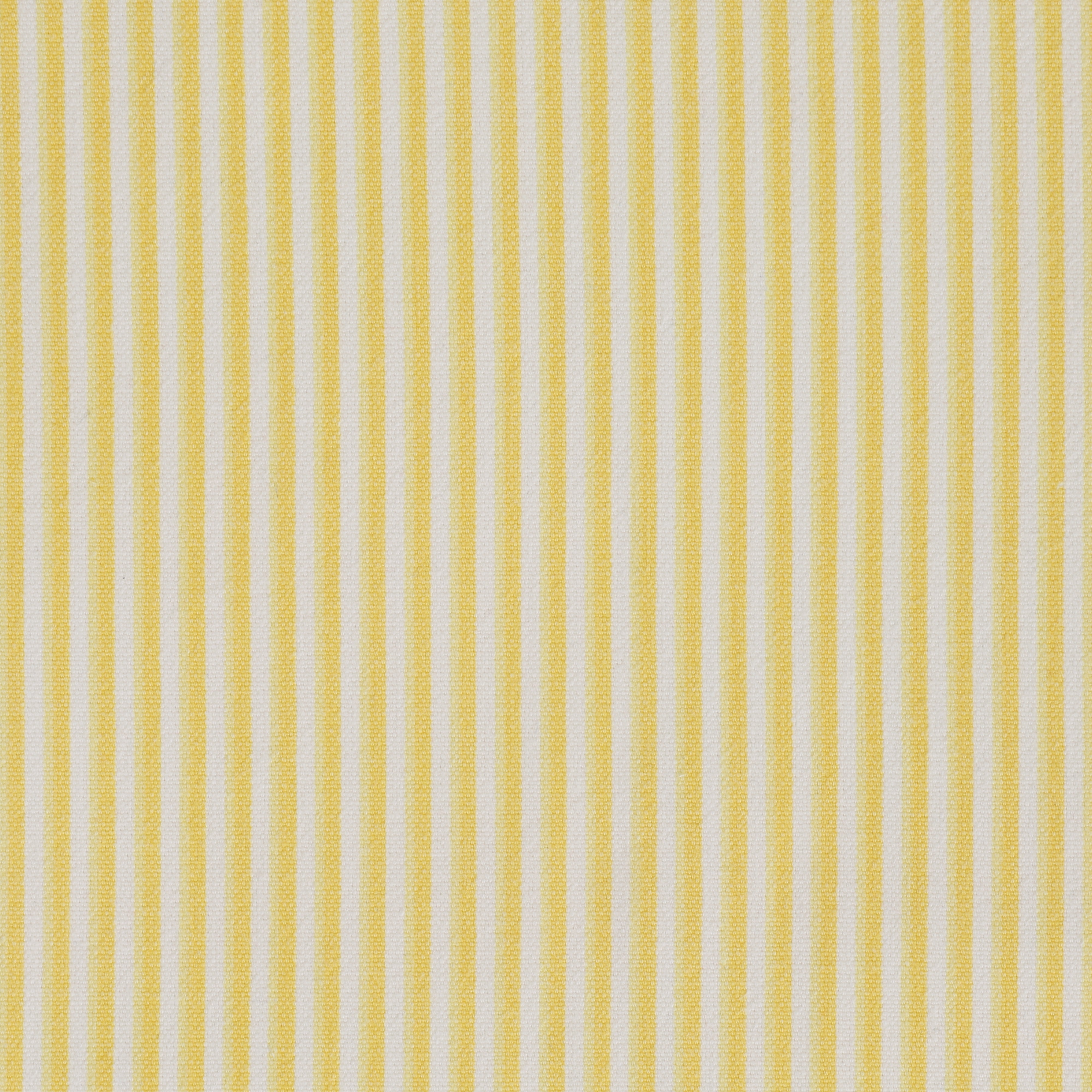 Sunshine Stripe Napkin
