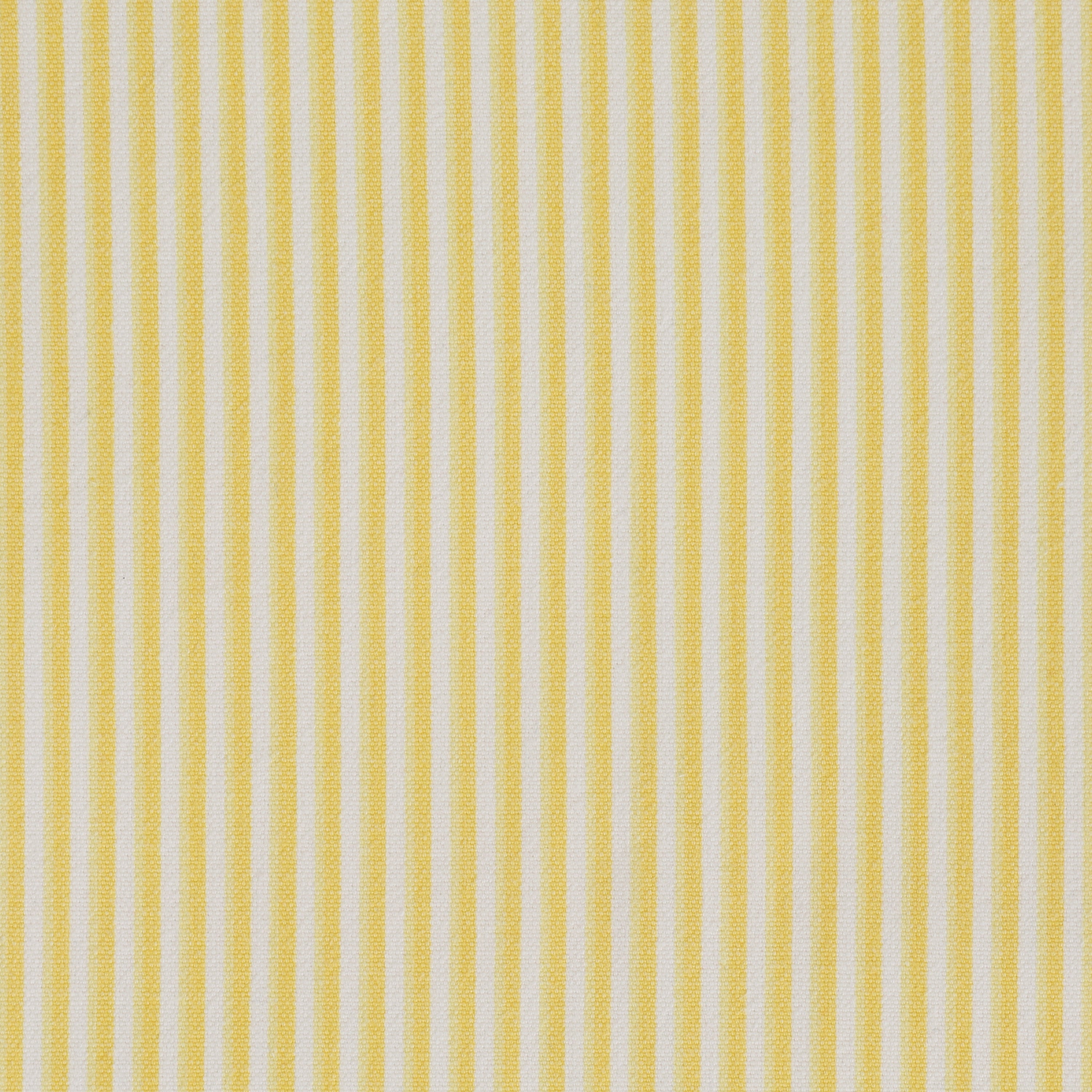 Sunshine Stripe