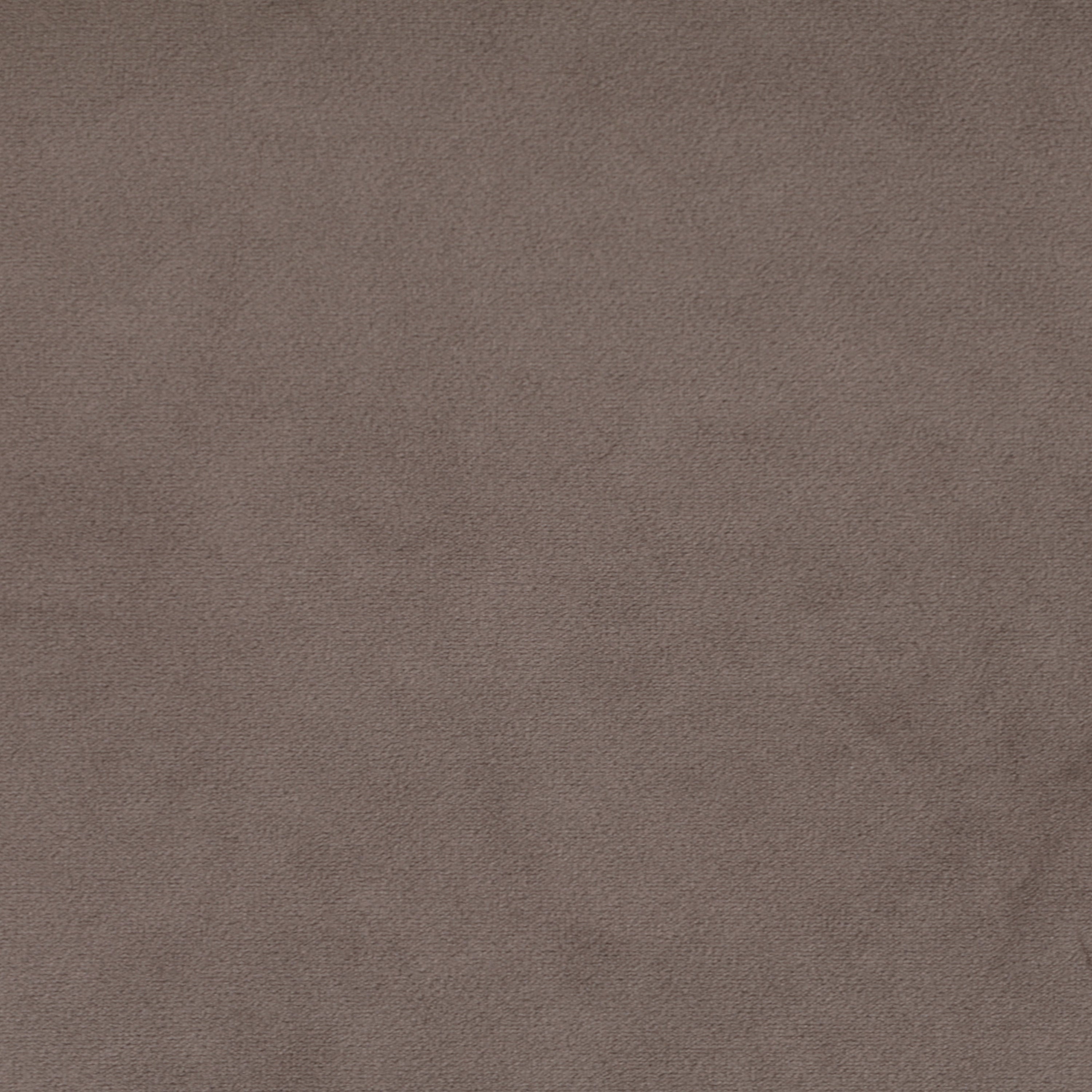 Taupe Velvet