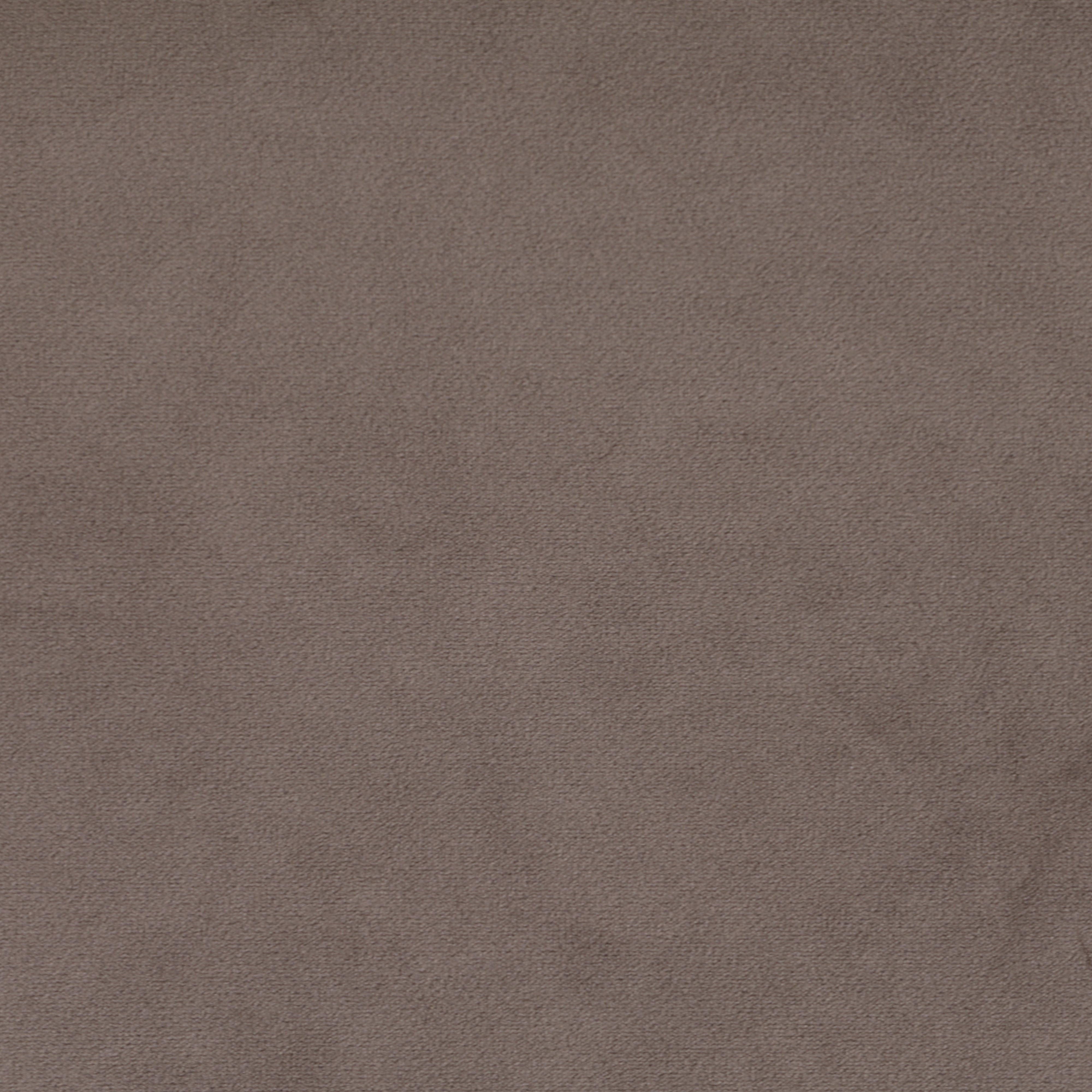 Taupe Velvet