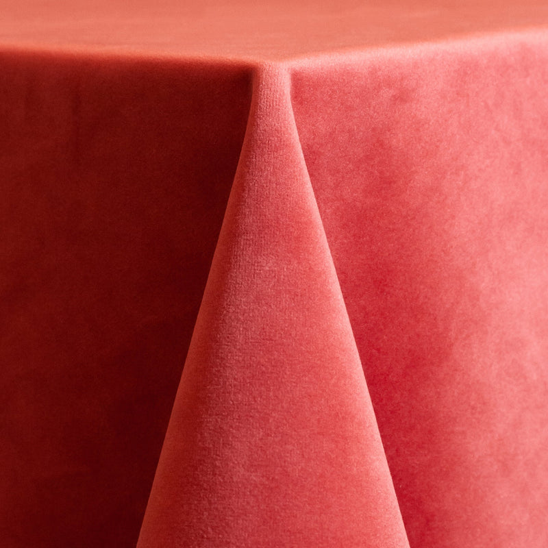 Coral Velvet