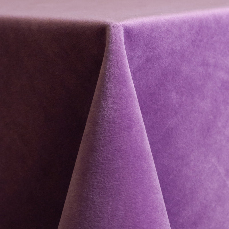 Lavender Velvet