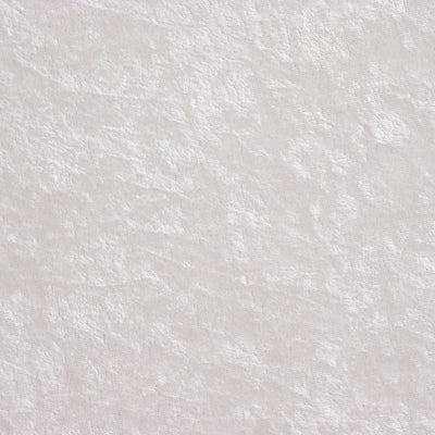 White Velvet Cushion
