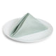Windsong Celadon Stripe Napkin