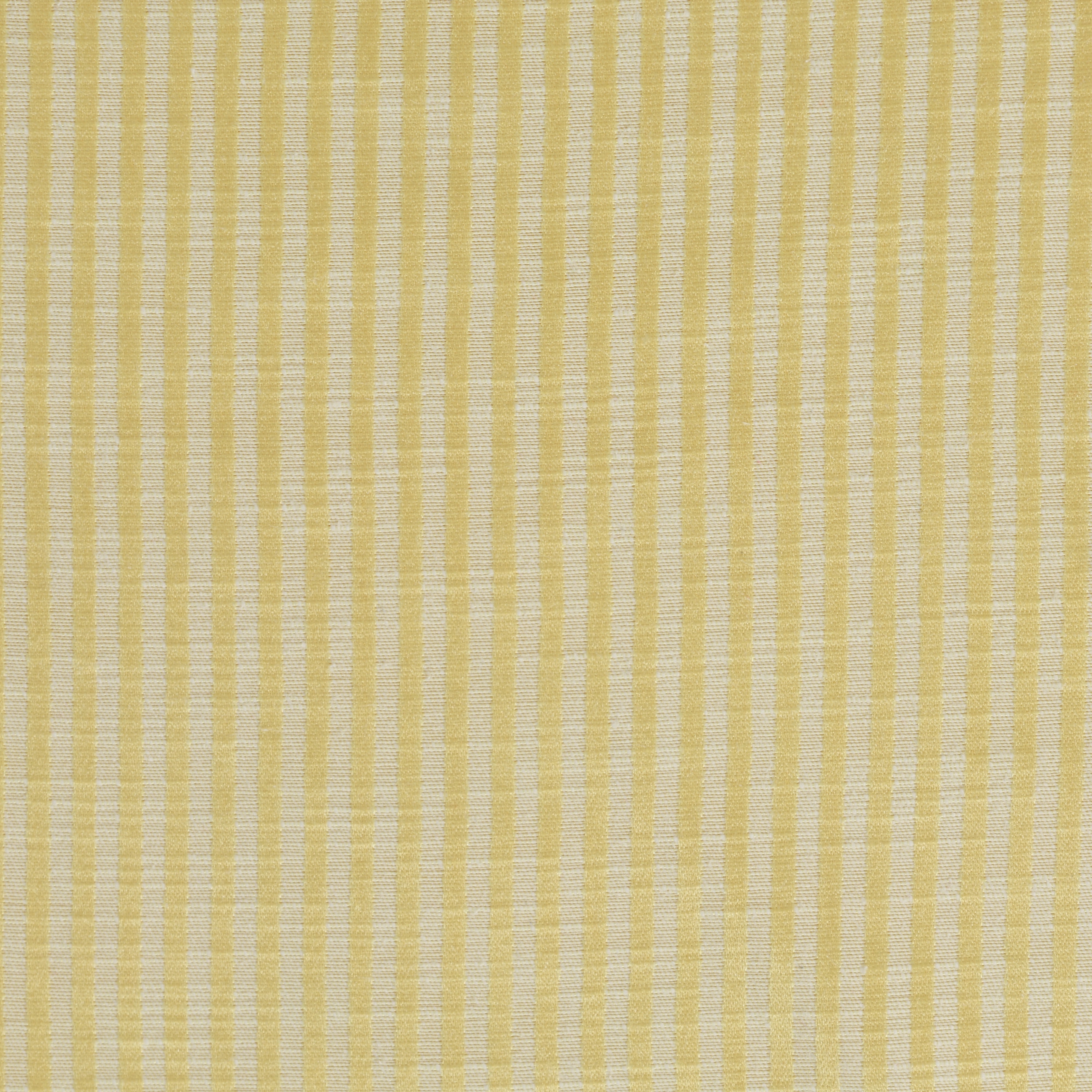 Windsong Marigold Stripe