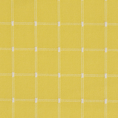 Yellow Window Pane