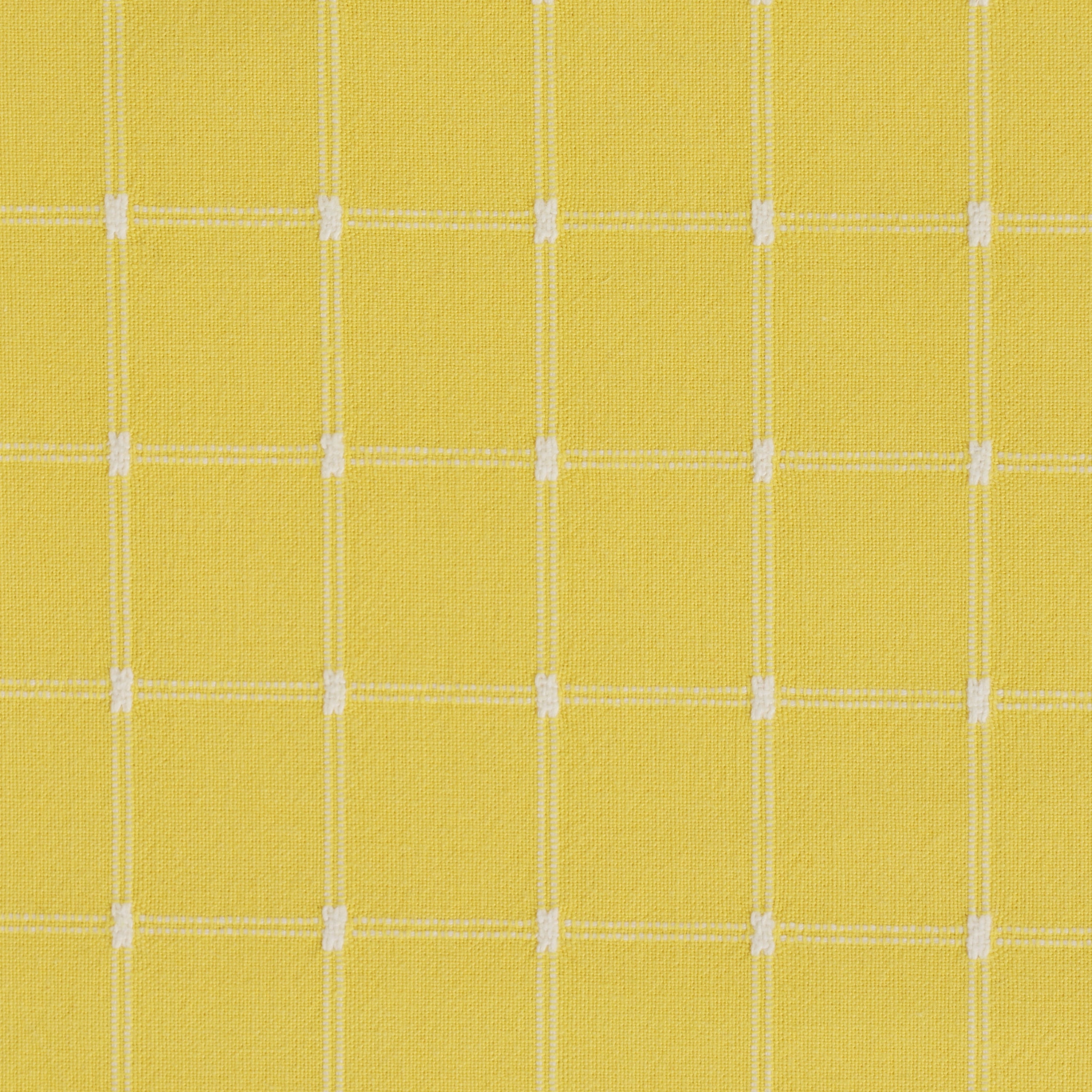 Yellow Window Pane