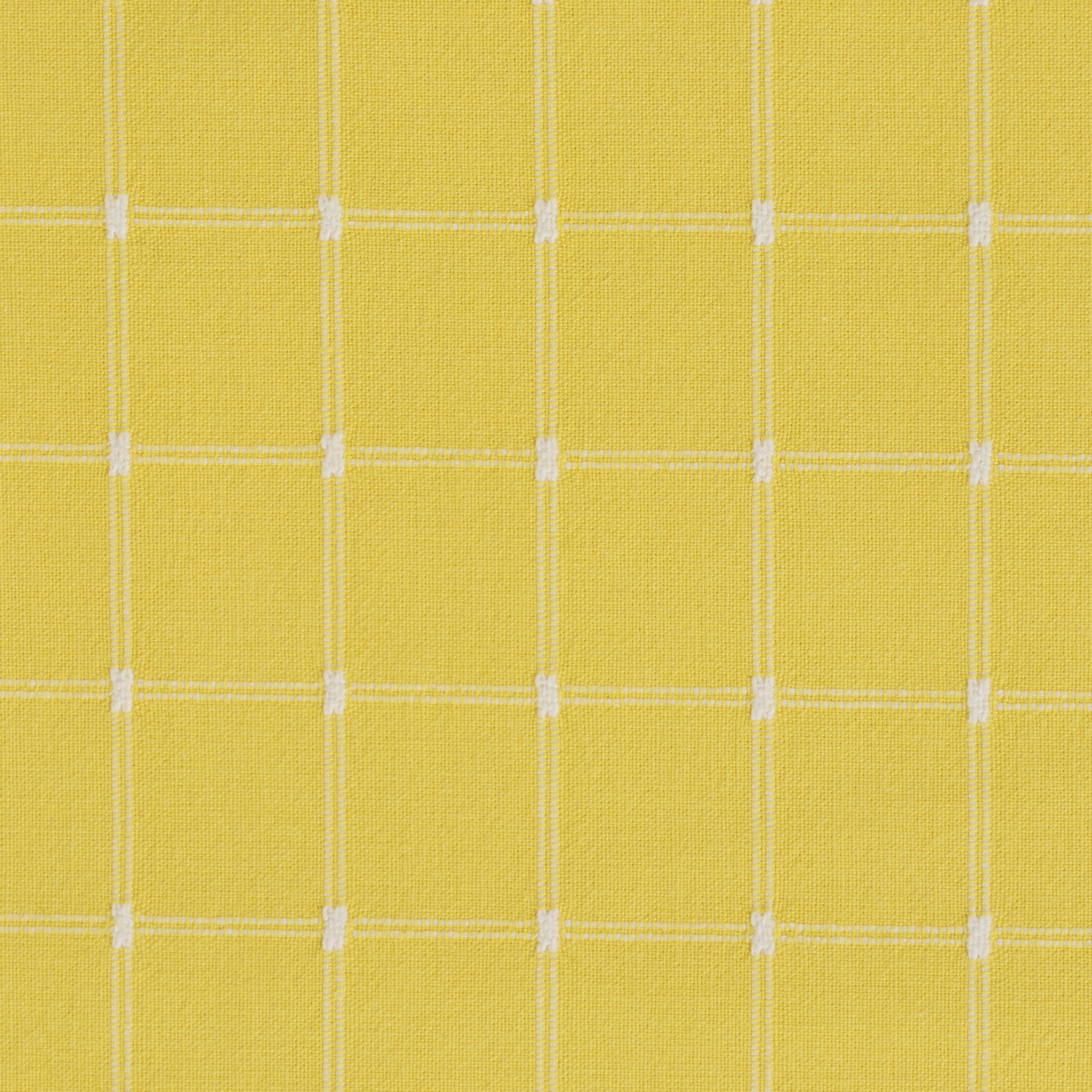Yellow Window Pane