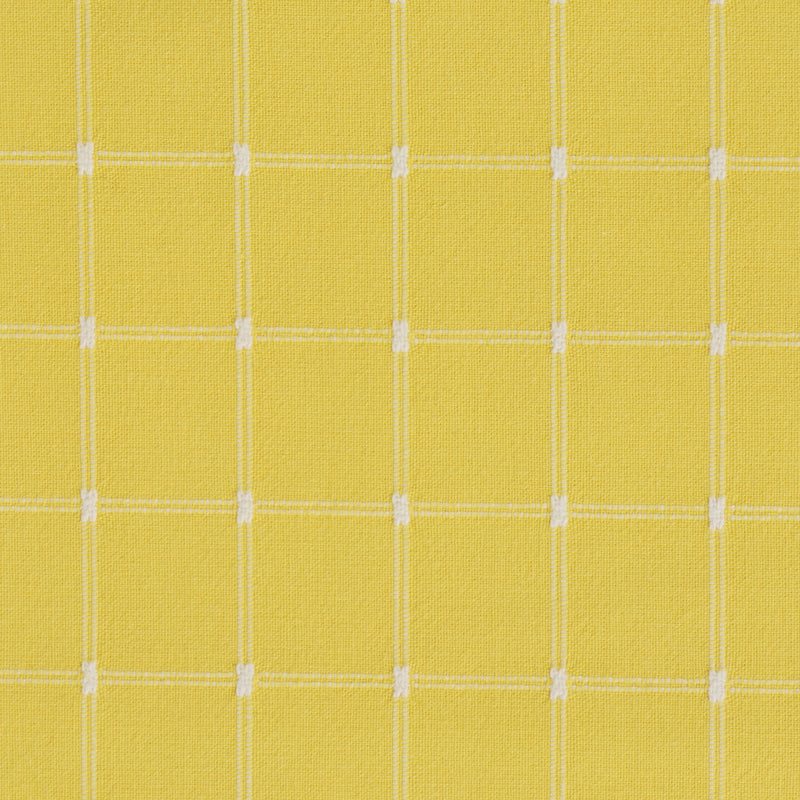 Yellow Window Pane