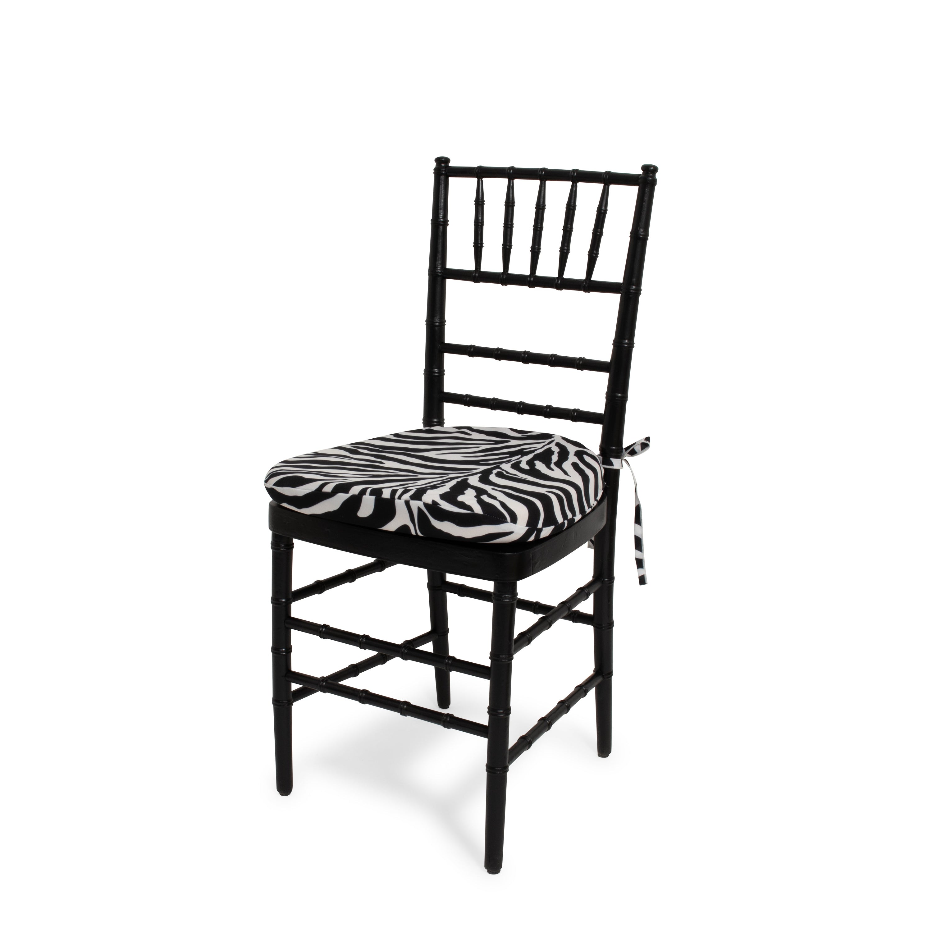 Zebra Cushion