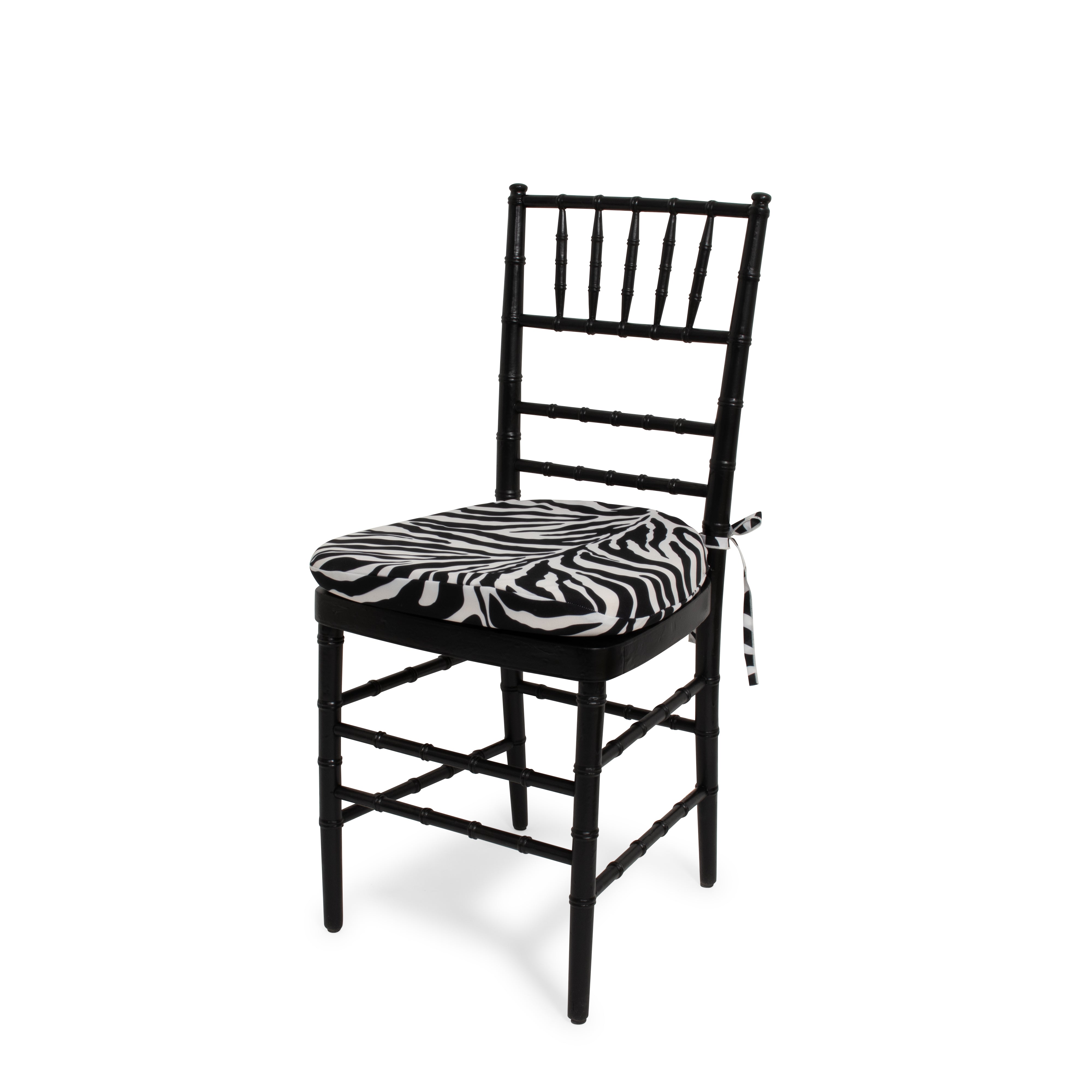 Zebra Cushion