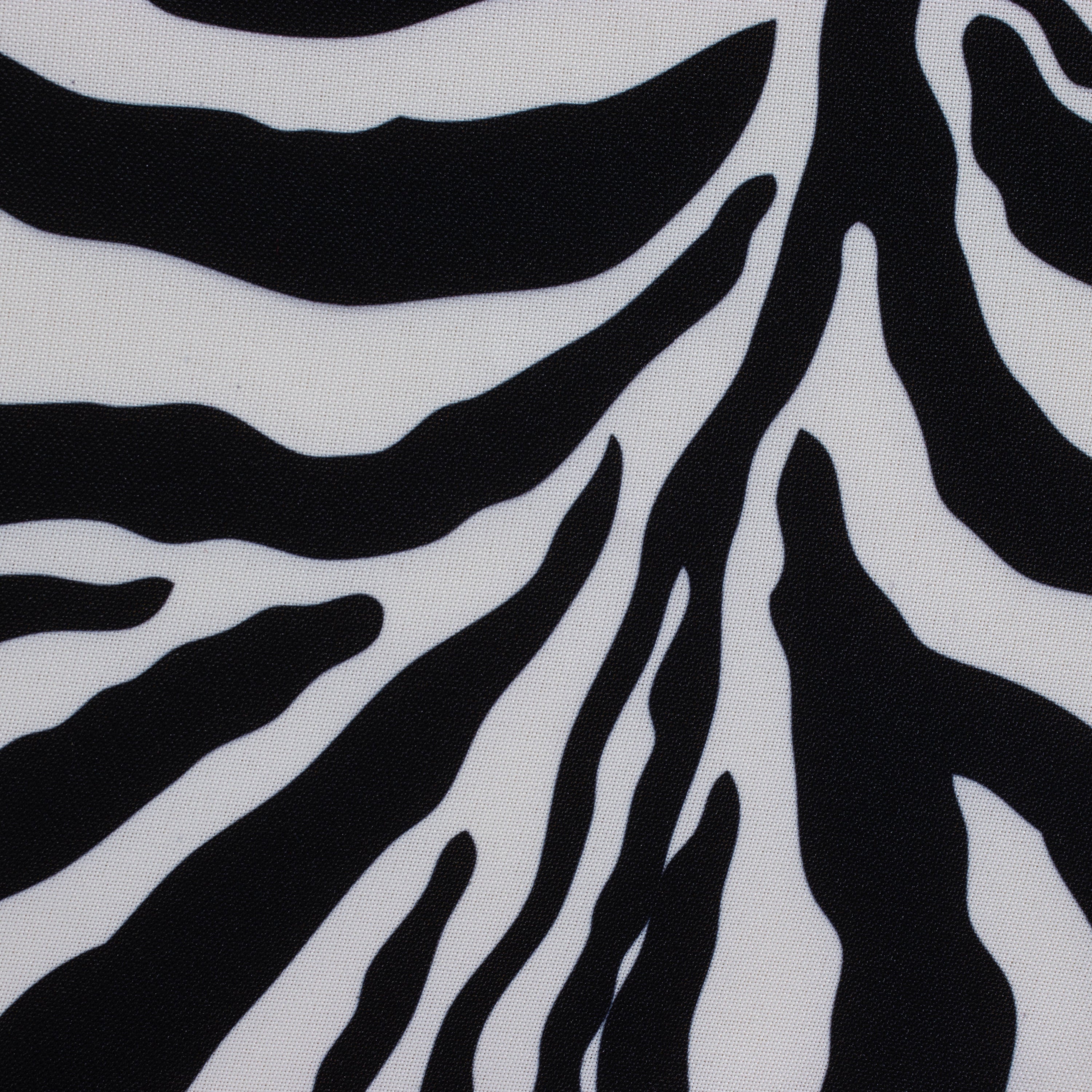 Zebra Cushion