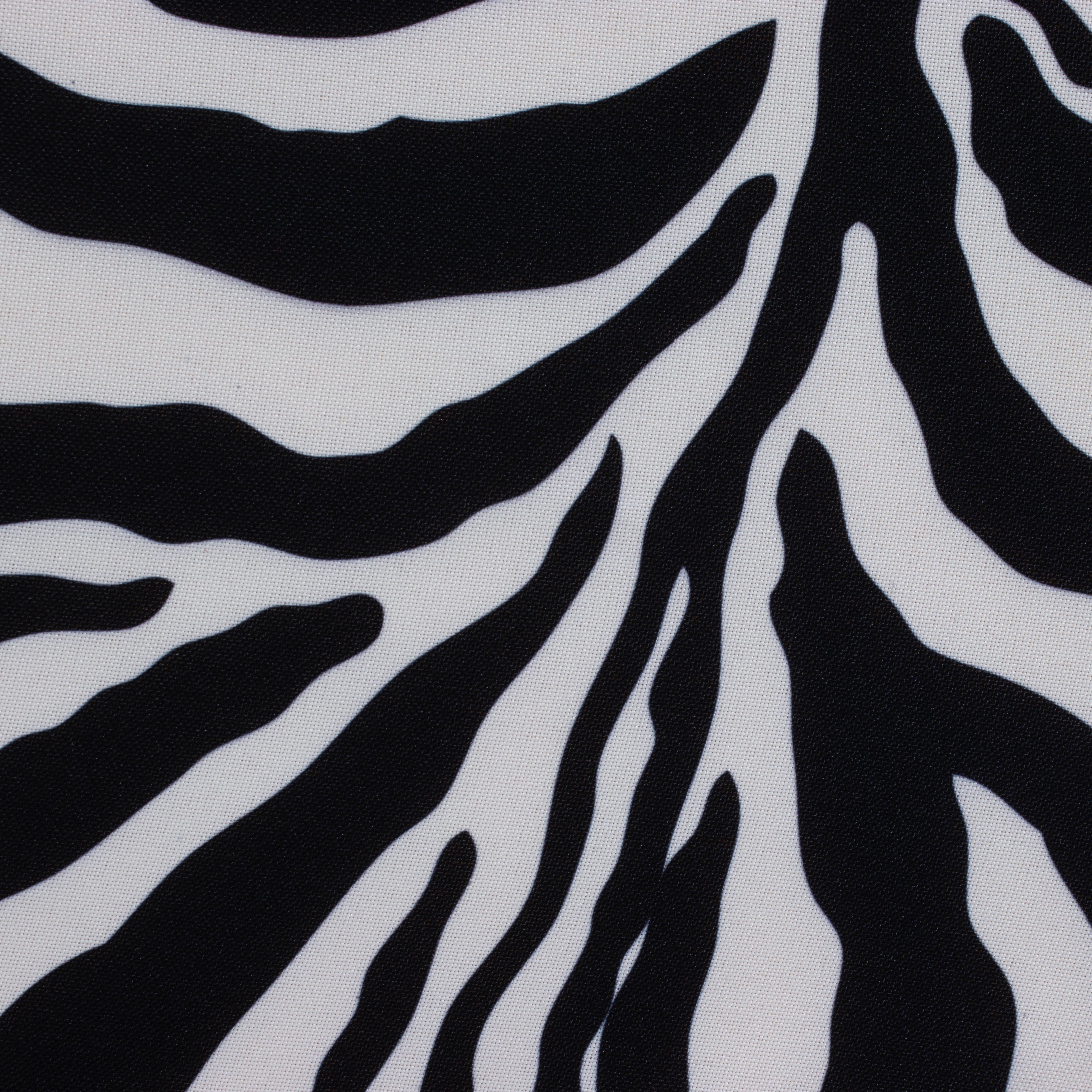 Zebra Cushion