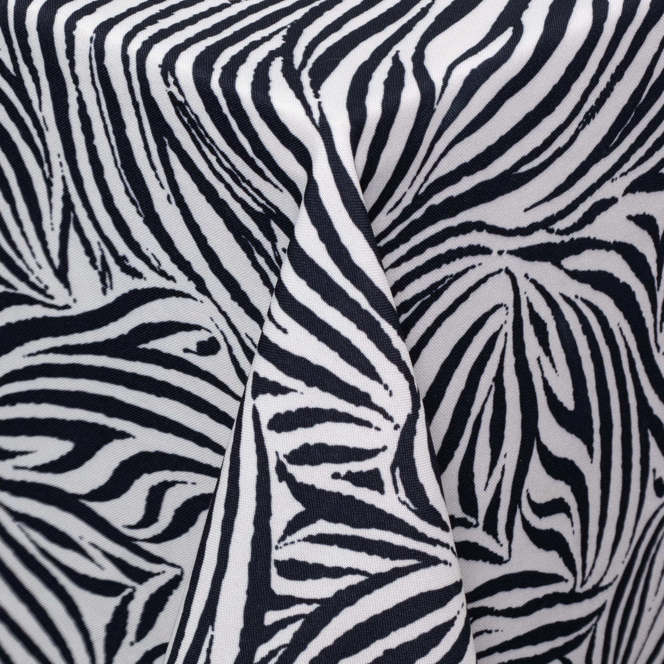 Zebra TT