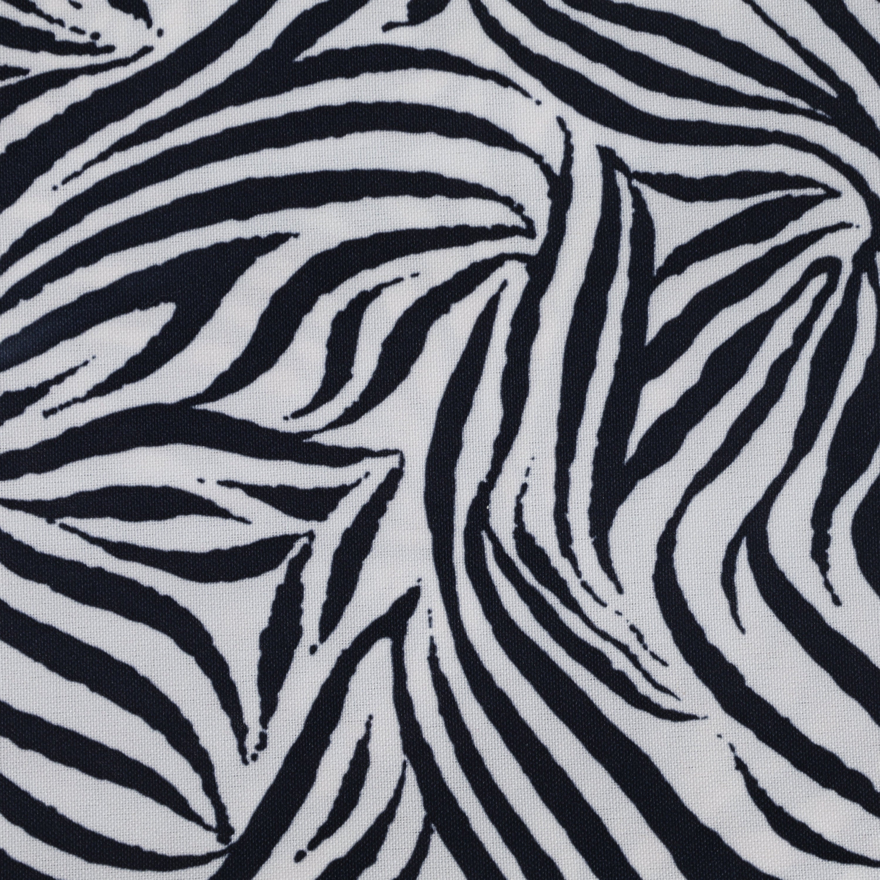 Zebra TT