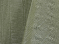 Sage Bengaline - Bengaline
