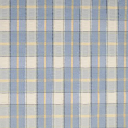 Party Linens Blue/Yellow Plaid  Checks and Plaids