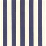 Party Linens Blueberry Stripe Napkins