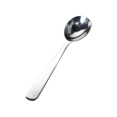 Serving Spoon Silver 12" Long Handle